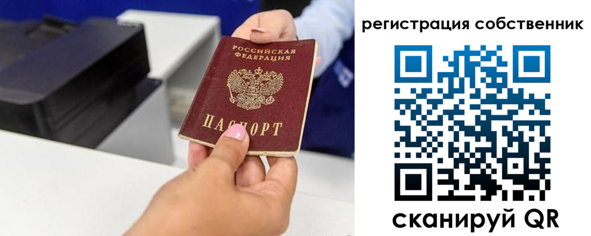 прописка для школы в Киреевске